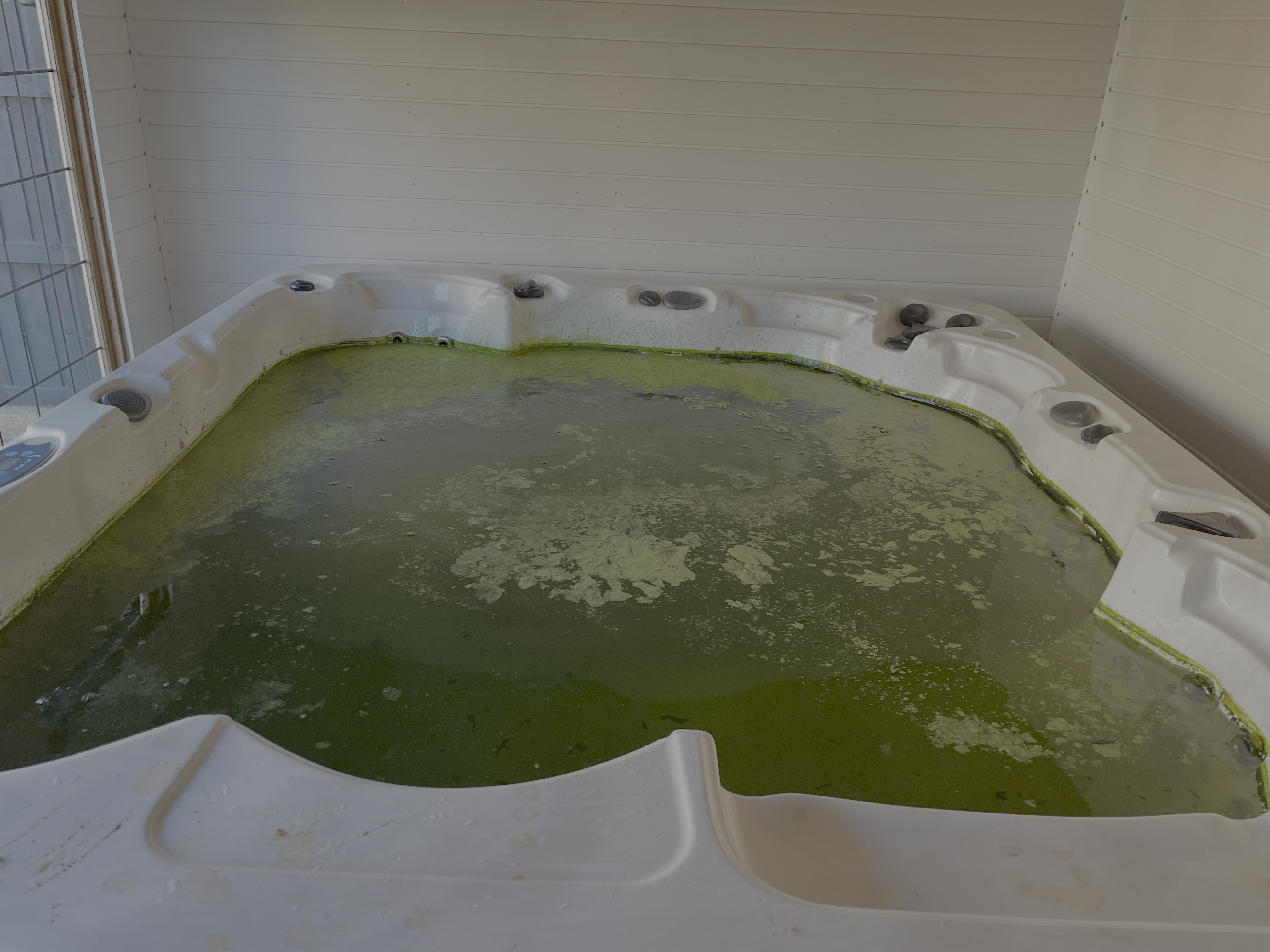 Hot tub spa servicing and repairs in Sutton Coldfield β tub with green algae before cleaning