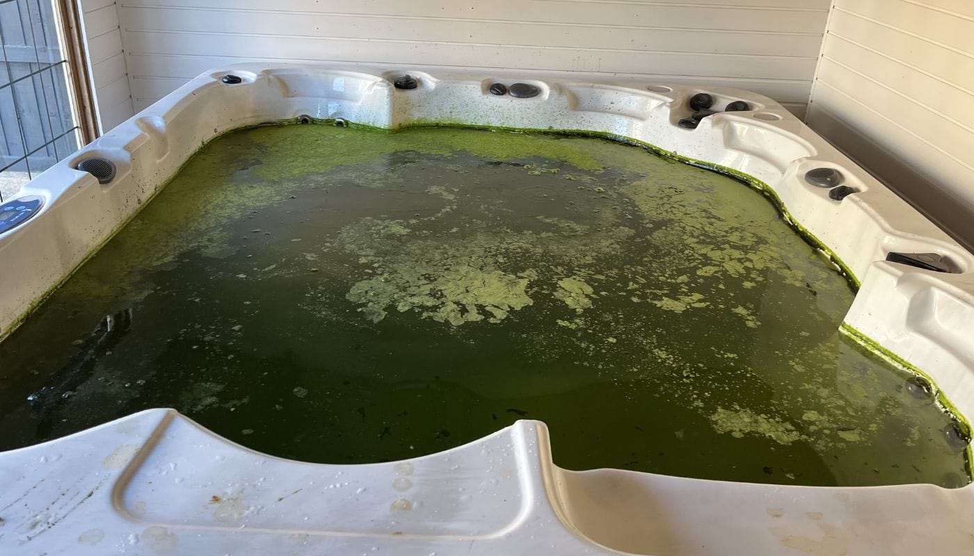 Hot tub spa servicing and repairs in Sutton Coldfield β tub with green algae before cleaning